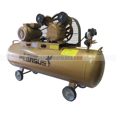 Máy nén khí PEGASUS TM-V-0.17/8-100L